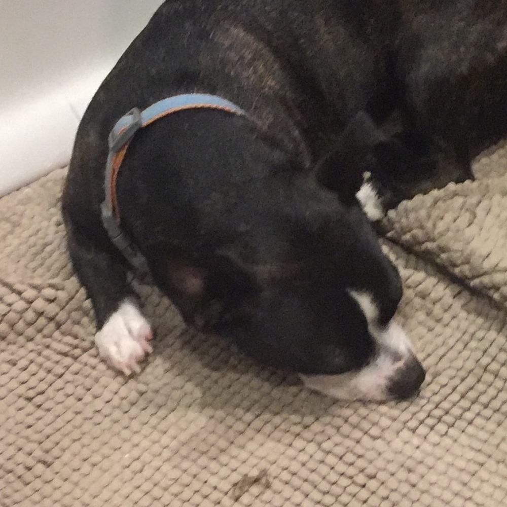 Meet your Posher, Deanna